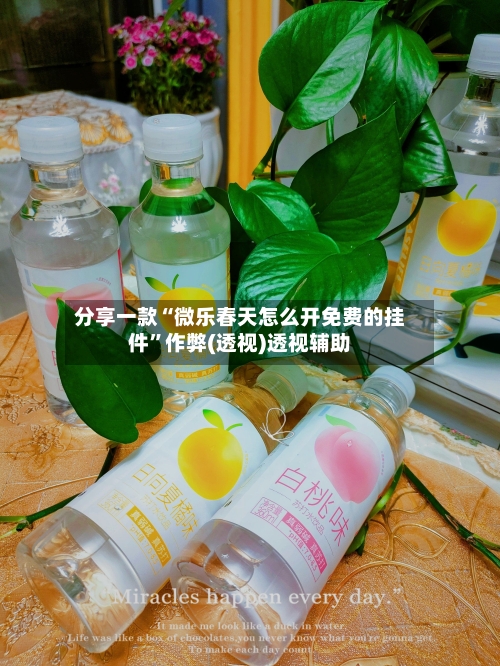 分享一款“微乐春天怎么开免费的挂件	”作弊(透视)透视辅助-第3张图片