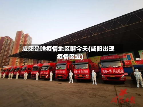 咸阳是啥疫情地区啊今天(咸阳出现疫情区域)-第2张图片