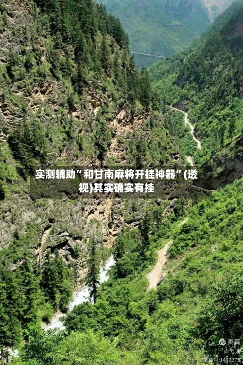 实测辅助”和甘南麻将开挂神器	”(透视)其实确实有挂-第3张图片
