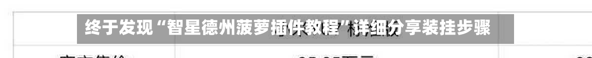 终于发现“智星德州菠萝插件教程	”详细分享装挂步骤-第2张图片