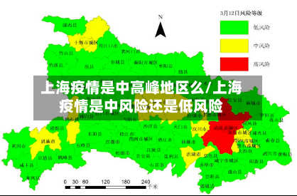 上海疫情是中高峰地区么/上海疫情是中风险还是低风险-第2张图片