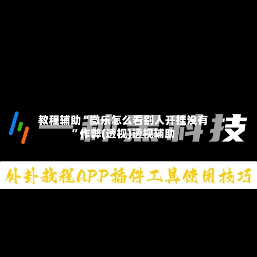 教程辅助“微乐怎么看别人开挂没有”作弊(透视)透视辅助