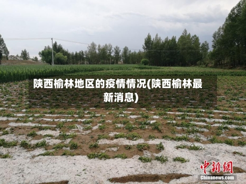 陕西榆林地区的疫情情况(陕西榆林最新消息)-第2张图片