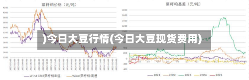 )今日大豆行情(今日大豆现货费用)