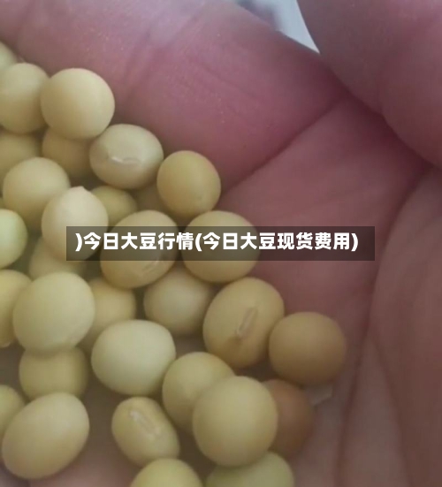 )今日大豆行情(今日大豆现货费用)-第2张图片