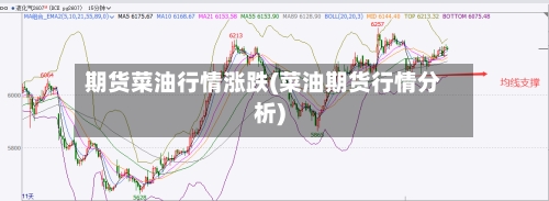 期货菜油行情涨跌(菜油期货行情分析)-第3张图片