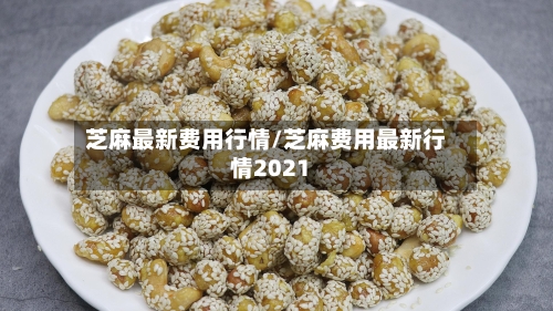 芝麻最新费用行情/芝麻费用最新行情2021