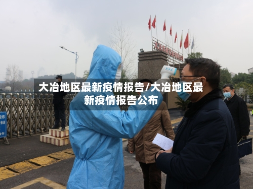 大冶地区最新疫情报告/大冶地区最新疫情报告公布-第2张图片