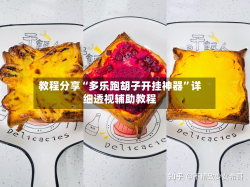 教程分享“多乐跑胡子开挂神器	”详细透视辅助教程-第2张图片