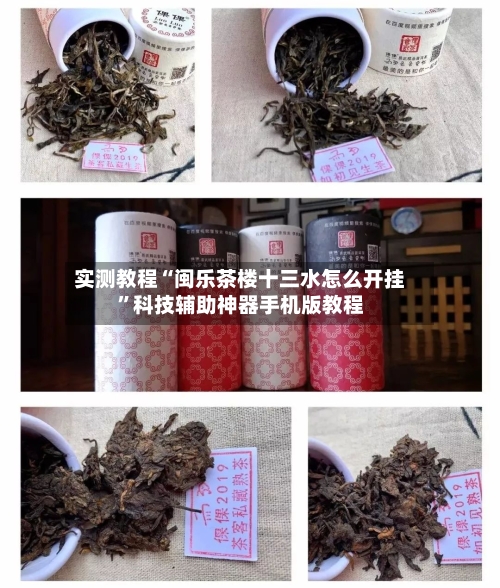 实测教程“闽乐茶楼十三水怎么开挂”科技辅助神器手机版教程