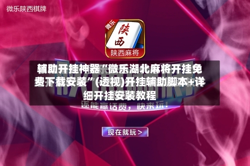 辅助开挂神器“微乐湖北麻将开挂免费下载安装	”(透视)开挂辅助脚本+详细开挂安装教程-第3张图片
