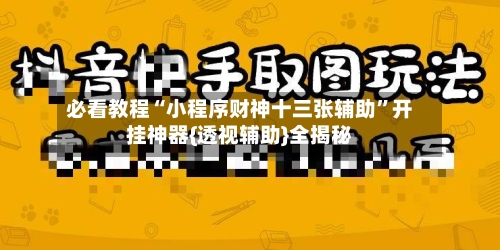 必看教程“小程序财神十三张辅助”开挂神器{透视辅助}全揭秘-第2张图片