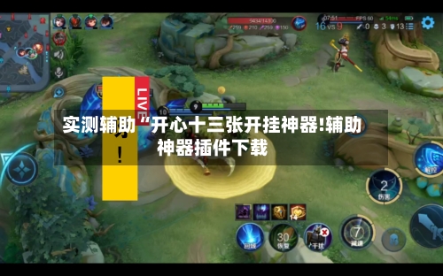 实测辅助“开心十三张开挂神器!辅助神器插件下载-第3张图片