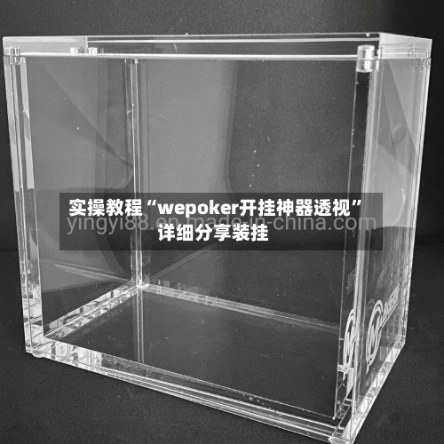 实操教程“wepoker开挂神器透视”详细分享装挂-第3张图片