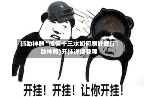 辅助神器“微信十三水如何刷好牌(辅助神器)开挂详细教程-第2张图片