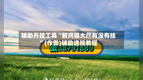 辅助开挂工具“新鸿狐大厅有没有挂”(作弊)辅助透视教程-第2张图片