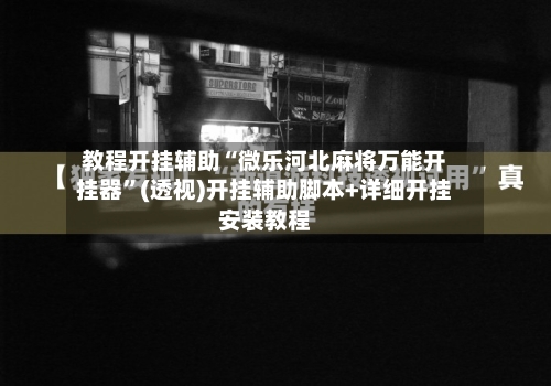 教程开挂辅助“微乐河北麻将万能开挂器	”(透视)开挂辅助脚本+详细开挂安装教程-第2张图片