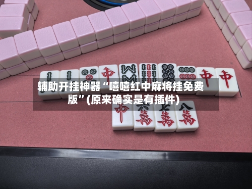 辅助开挂神器“嘻嘻红中麻将挂免费版”(原来确实是有插件)-第2张图片
