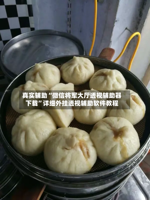 真实辅助“微信将军大厅透视辅助器下载”详细外挂透视辅助软件教程-第3张图片