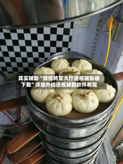真实辅助“微信将军大厅透视辅助器下载”详细外挂透视辅助软件教程-第2张图片