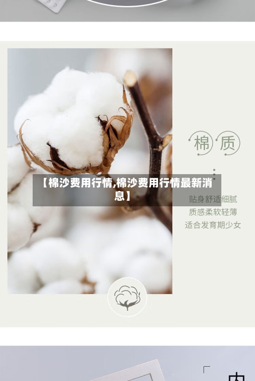【棉沙费用行情,棉沙费用行情最新消息】