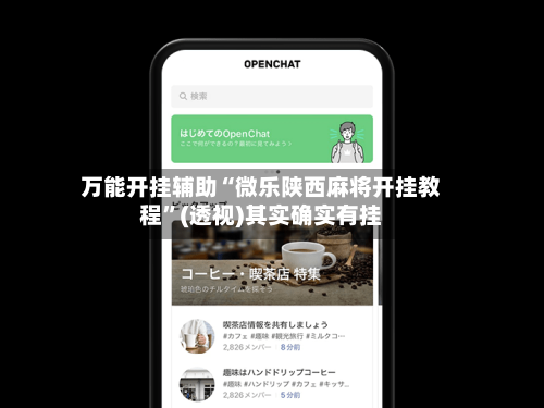 万能开挂辅助“微乐陕西麻将开挂教程”(透视)其实确实有挂-第2张图片