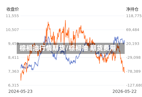 棕榈油行情期货/棕榈油 期货费用-第3张图片