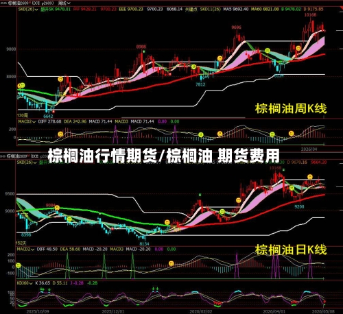 棕榈油行情期货/棕榈油 期货费用-第2张图片