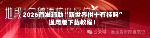 2026首发辅助“新世界拼十有挂吗”通用版下载教程！-第2张图片