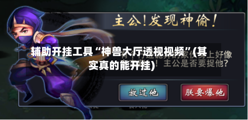 辅助开挂工具“神兽大厅透视视频”(其实真的能开挂)-第3张图片