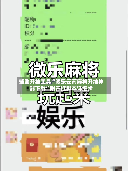 辅助开挂工具“微乐云南麻将开挂神器下载	”附开挂脚本详细步-第3张图片