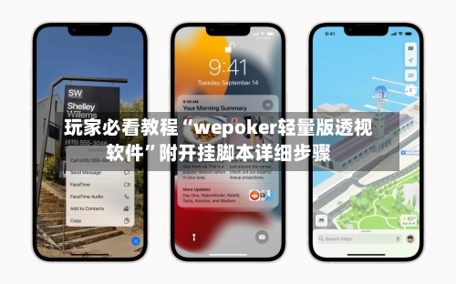 玩家必看教程“wepoker轻量版透视软件”附开挂脚本详细步骤-第2张图片