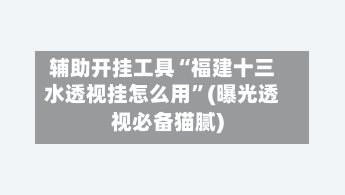 辅助开挂工具“福建十三水透视挂怎么用	”(曝光透视必备猫腻)-第3张图片