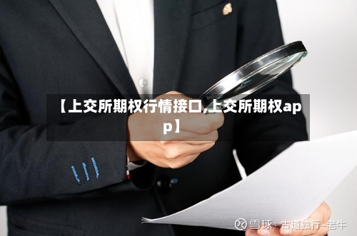 【上交所期权行情接口,上交所期权app】-第3张图片