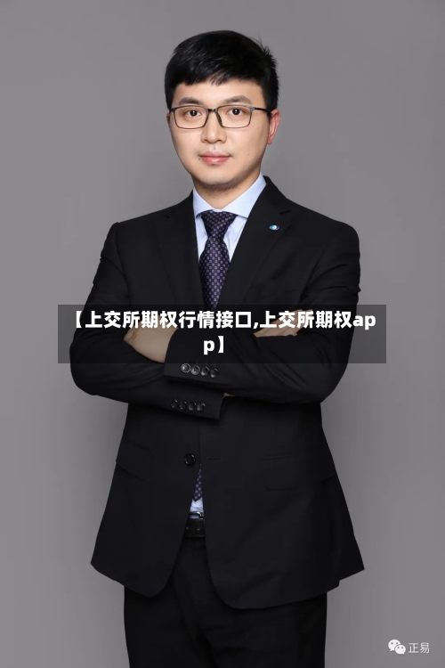 【上交所期权行情接口,上交所期权app】