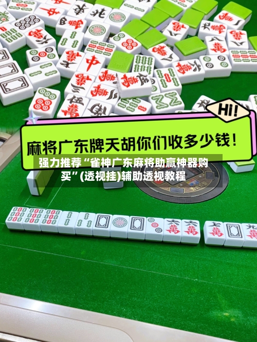 强力推荐“雀神广东麻将助赢神器购买”(透视挂)辅助透视教程-第3张图片