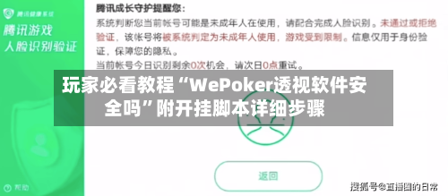 玩家必看教程“WePoker透视软件安全吗”附开挂脚本详细步骤-第2张图片