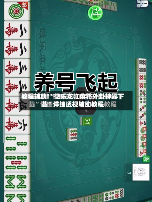 教程辅助!“微乐龙江麻将外卦神器下载”详细透视辅助教程-第3张图片