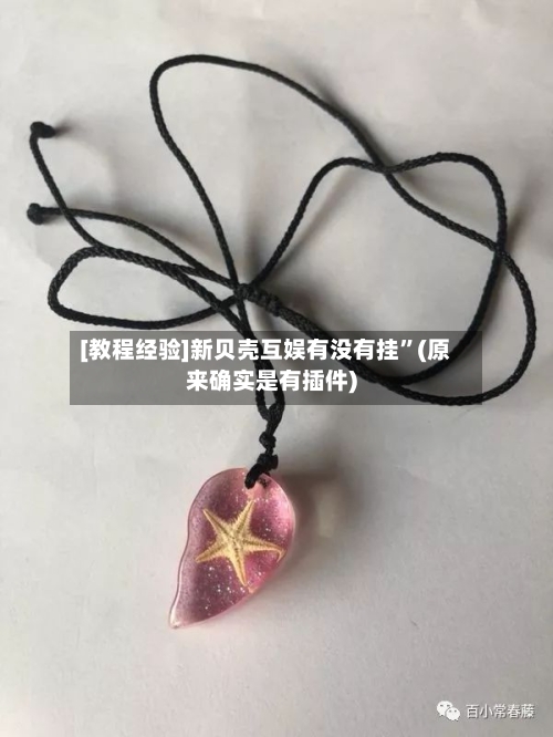 [教程经验]新贝壳互娱有没有挂	”(原来确实是有插件)-第2张图片