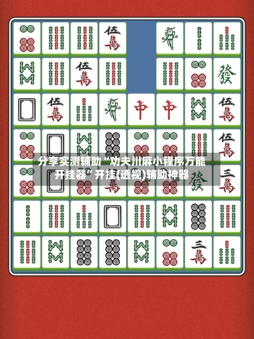 分享实测辅助“功夫川麻小程序万能开挂器	”开挂(透视)辅助神器-第2张图片
