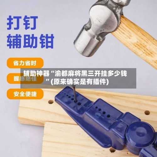 辅助神器“渝都麻将黑三开挂多少钱”(原来确实是有插件)-第3张图片