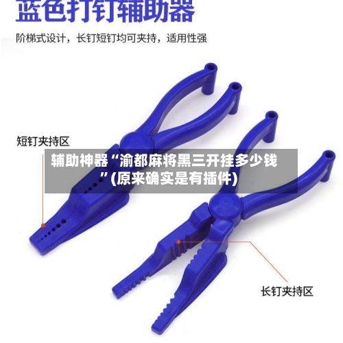 辅助神器“渝都麻将黑三开挂多少钱”(原来确实是有插件)