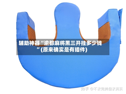 辅助神器“渝都麻将黑三开挂多少钱”(原来确实是有插件)-第2张图片