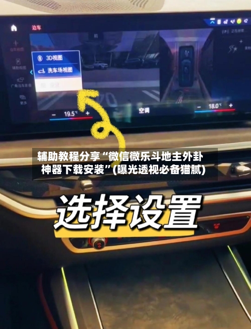 辅助教程分享“微信微乐斗地主外卦神器下载安装”(曝光透视必备猫腻)-第2张图片