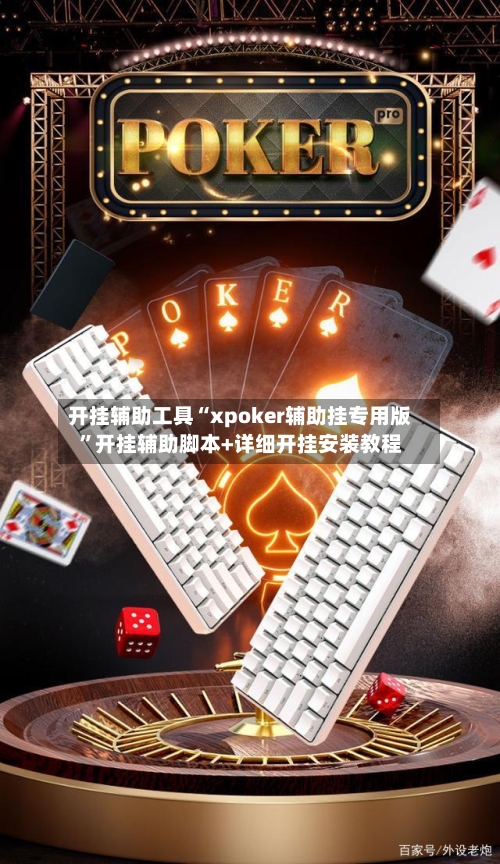 开挂辅助工具“xpoker辅助挂专用版”开挂辅助脚本+详细开挂安装教程-第3张图片