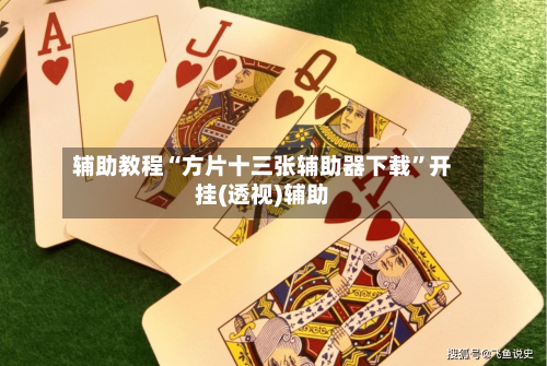辅助教程“方片十三张辅助器下载”开挂(透视)辅助