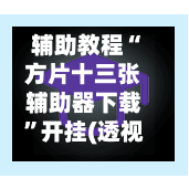 辅助教程“方片十三张辅助器下载”开挂(透视)辅助-第2张图片