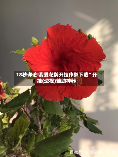 18秒详论!我爱花牌开挂作弊下载”开挂(透视)辅助神器