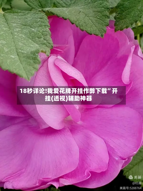 18秒详论!我爱花牌开挂作弊下载”开挂(透视)辅助神器-第2张图片