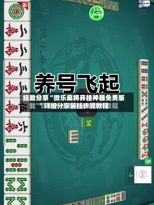 经验分享“微乐麻将开挂神器免费版	”详细分享装挂步骤教程-第2张图片